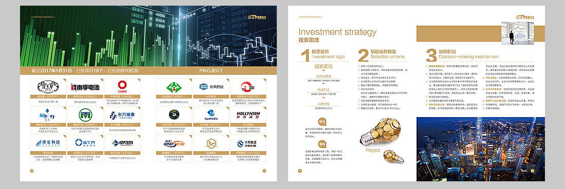 投資公司宣傳冊設(shè)計(jì)-5